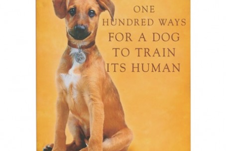 Ways For A Dog To Train Its Human Ways For A Dog To Train Its Human