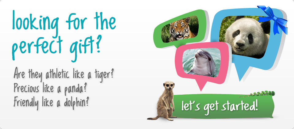 Looking for the perfect gift?