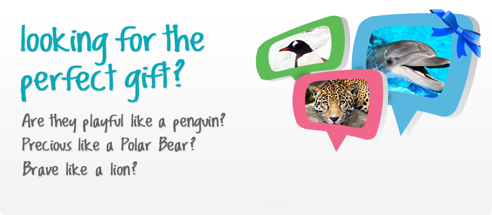 Looking for the perfect gift?