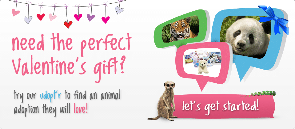 Looking for the perfect Valentine’s gift?