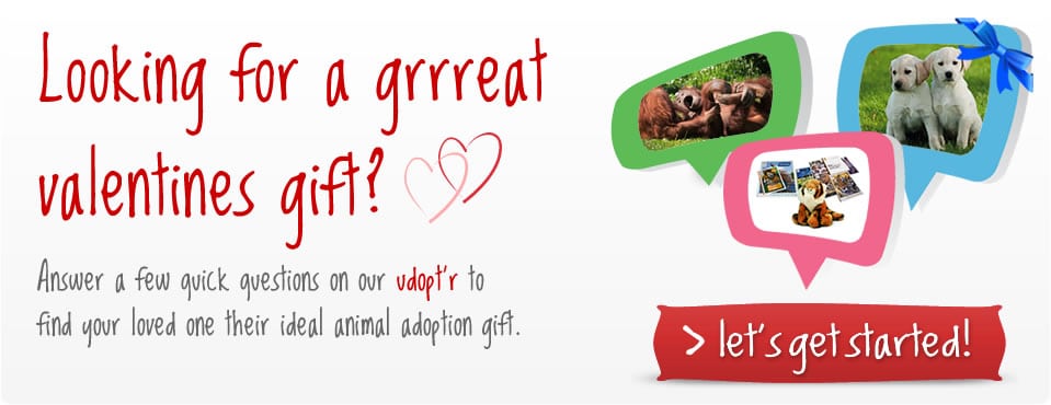 Adopt an animal this Valentines day with udopt.co.uk