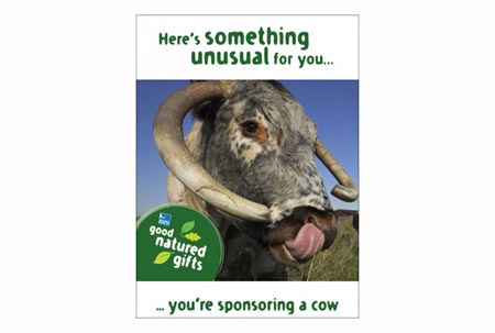 Longhorn Cow Gift Card