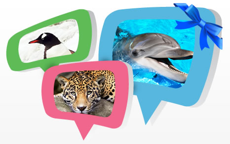 Use the udopt’r to find your perfect animal match