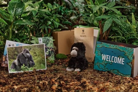 Adopt a Mountain Gorilla