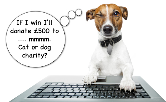 Win £500 for an animal charity of your choice