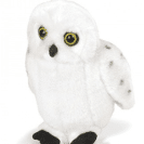 Snowy Owl from RSPB