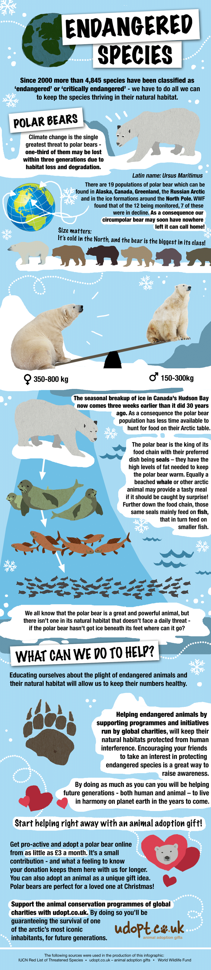 How You Can Help the Polar Bear Infographic udopt.co.uk