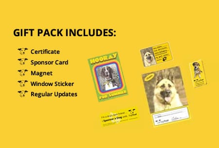 Dogs Trust Gift Pack