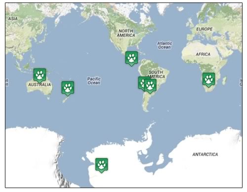 Locations where penguins can be found
