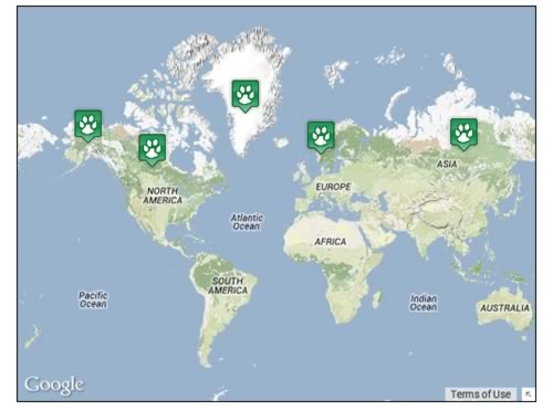 Locations where polar bears can be found