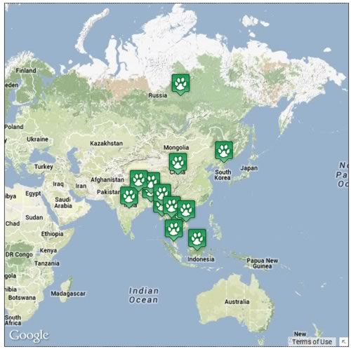 Locations where tigers can be found