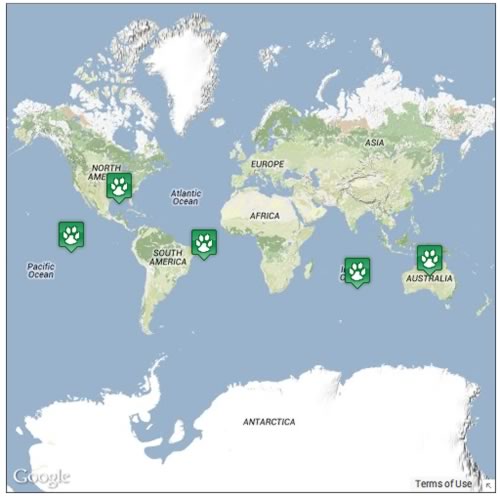 Locations where turtles can be found