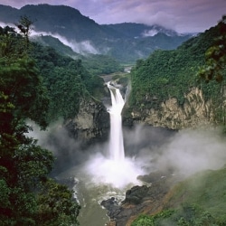 WWF Celebrates Historic Victory In Amazon Conservation