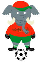 Elephant Footballer