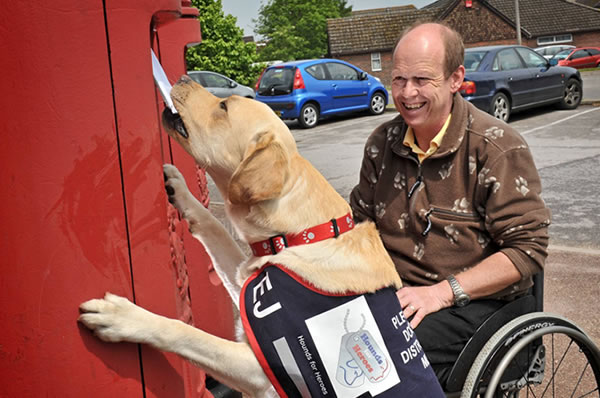 Hounds for Heroes A dog in action