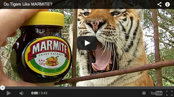 Do tigers like Marmite?