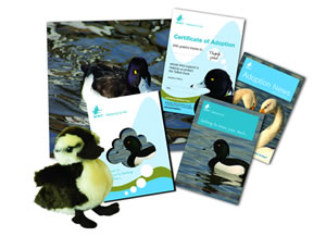 WWT Gift Pack