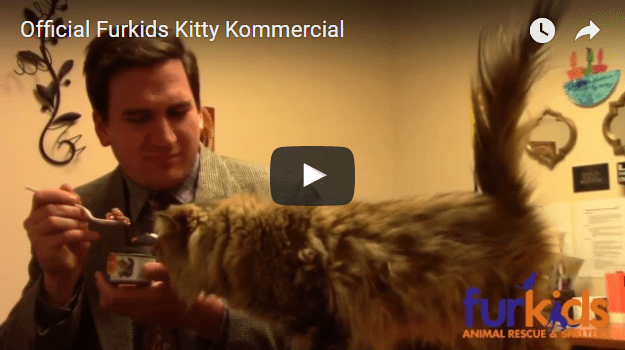 Kitty Commercial