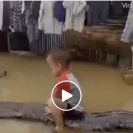 kid rides python