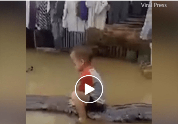 kid rides python