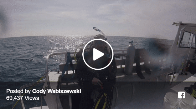 Diver Captures Video Of His Encounter With A Great White Shark