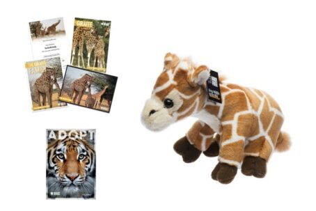 Adopt a Giraffe