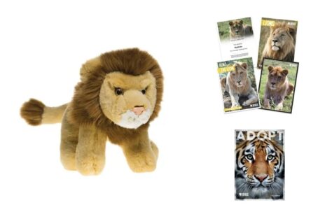 Adopt a Lion