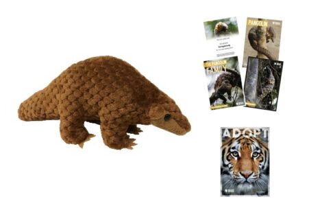 Adopt a Pangolin